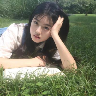 来自日本的机器狗