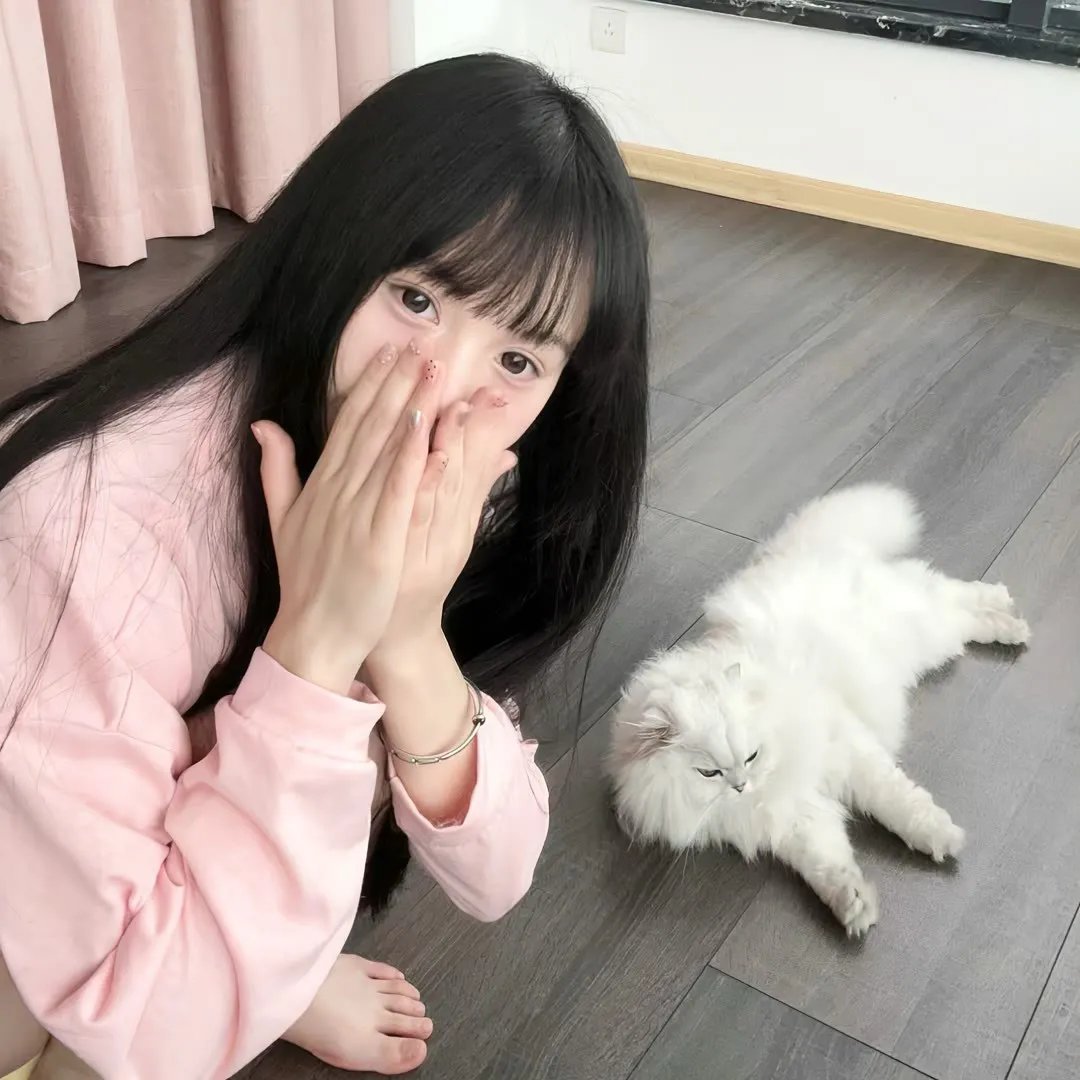 女主播风云